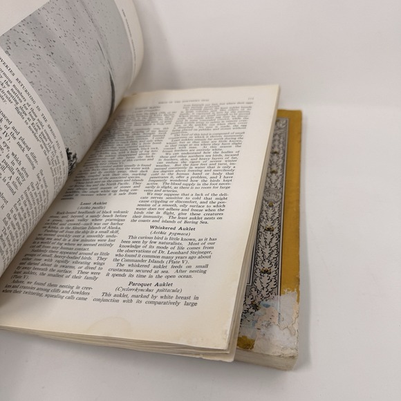 Lot 2 The National Geographic Magazine, January & February 1936 Vintage History - Picture 6 of 7